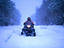 Image_1591-3