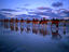 Cable Beach, West Kimberley