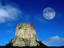 Image_1593-1