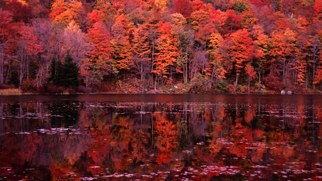 Image_1593-23