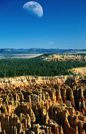 Moon over the canyon - Bryce Canyon National Park, Utah