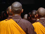 Monks in group prayer ritual at Kongobu-ji, Koya-San.