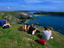 Image_16019-3