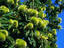 Image_16079-59