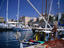 Image_16079-6