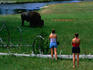 Two women watching bison grazing.