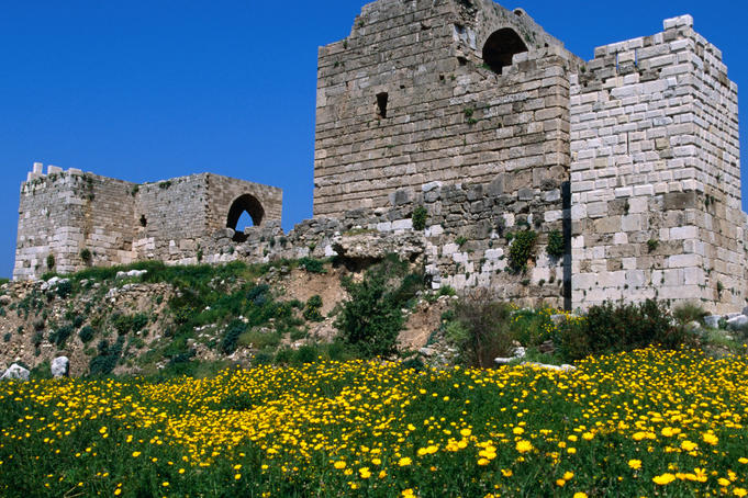 Crusader castle with flowers in front.