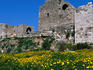 Crusader castle with flowers in front.