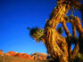 Red Rock Canyon landscape.