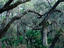 Image_16140-3