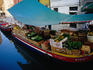 A green grocer sells wares from a 'peata', a type canal boat, on Rio di San Barnaba, Dorsodura.