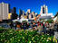 Image_1681-113