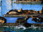 Image_1681-129