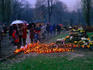 Rakowicki Cemetery on All Soul's Day.