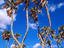 Image_17045-5