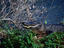 Image_1706-1