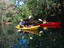Hillsborough River, Tampa
