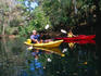 Kayaking on the Hillsborough River - Tampa, Florida