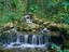 Image_17068-12