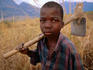 Young boy carrying a hoe through a field.