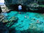 Image_17179-2