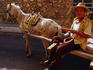 An elderly man with his horse and cart. Much of the transportation in Izamal is reliant on horse and carriage.