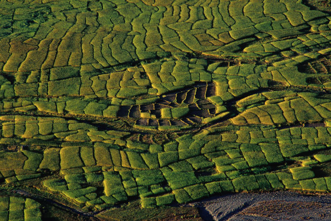 Rice terraces above the village of Suikhet in the Pokhara Valley.