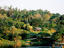 Image_17216-19