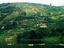 Image_17216-28