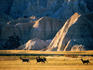 Mule deer (Odocoileus hemionus) with backdrop of rocky hills.