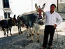 Portrait of man with donkeys in Albaicin quarter.