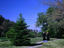 Priests strolling through the grounds of the Panagia of Kykkos Monastery.