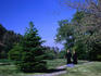Priests strolling through the grounds of the Panagia of Kykkos Monastery.