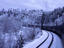 Image_1735-22