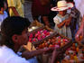 Selling coloured chicks in the Old City of Jerusalem