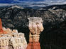 Hoodoos in Bryce Canyon.