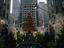 Image_17510-4