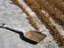 Drying coffee beans and shovel fom Finca Magdalina (coffee co-operative).