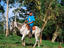 Young man and his horse from the Finca Magdalena (coffee co-operative).
