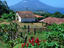 Finca Magdalena, Isla de Ometepe