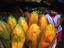 Image_17639-4