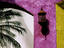 Architectural detail at Sombrero Bay, Golden Zone.