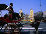 Horse and carriage waiting for customers on the Plaza de Armas with the Cathedral of Lima behind.