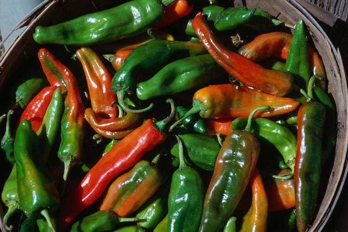 Some like it hot: green chile tour of New Mexico