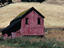 Image_17717-7