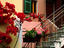 Flowers and painted houses, Cinque Terre