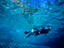 Limu Pools, Niue