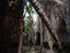Togo Chasm, Niue