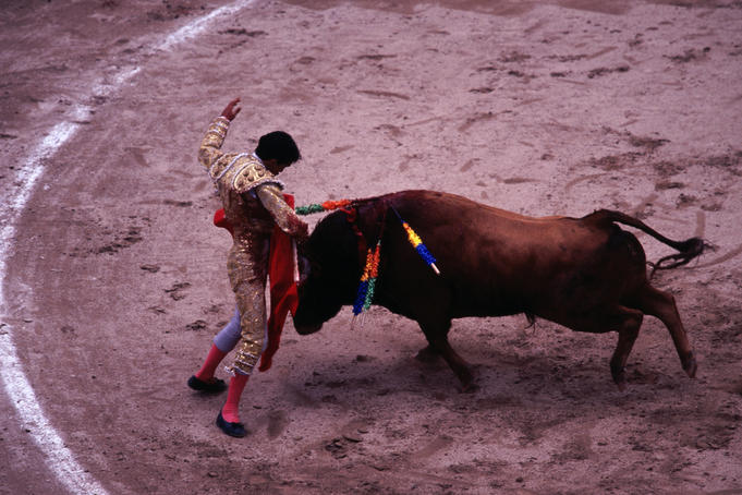 Bullfighting In Ecuador