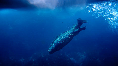 Image_17792-52